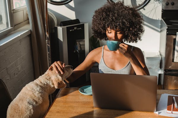 Astuces pour conserver la fraîcheur des croquettes