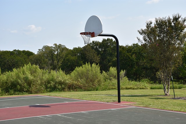 demi-terrain de basketball