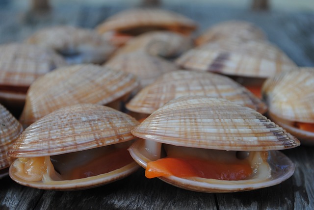 Cuisine de la mer