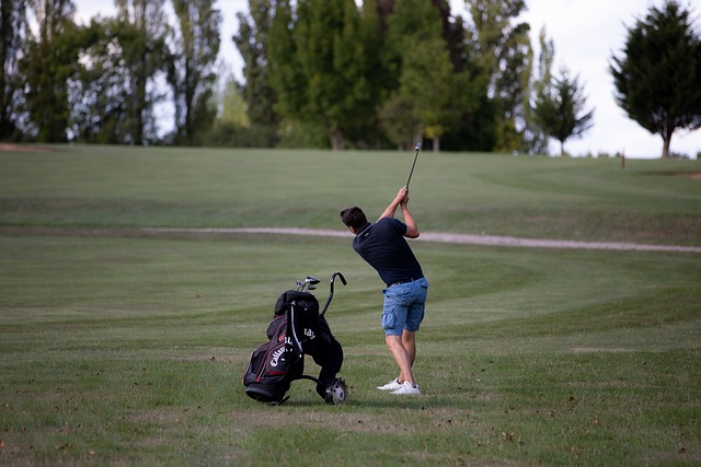 Terrains de golf