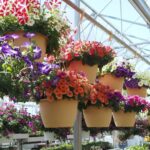 jardinière verticale