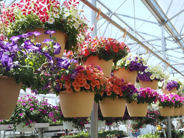 jardinière verticale