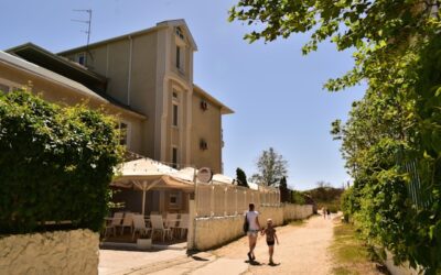 l'immobilier à Avignon