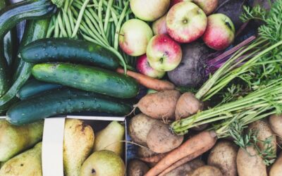 alimentation équilibrée