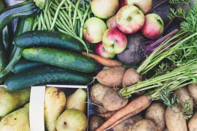 alimentation équilibrée