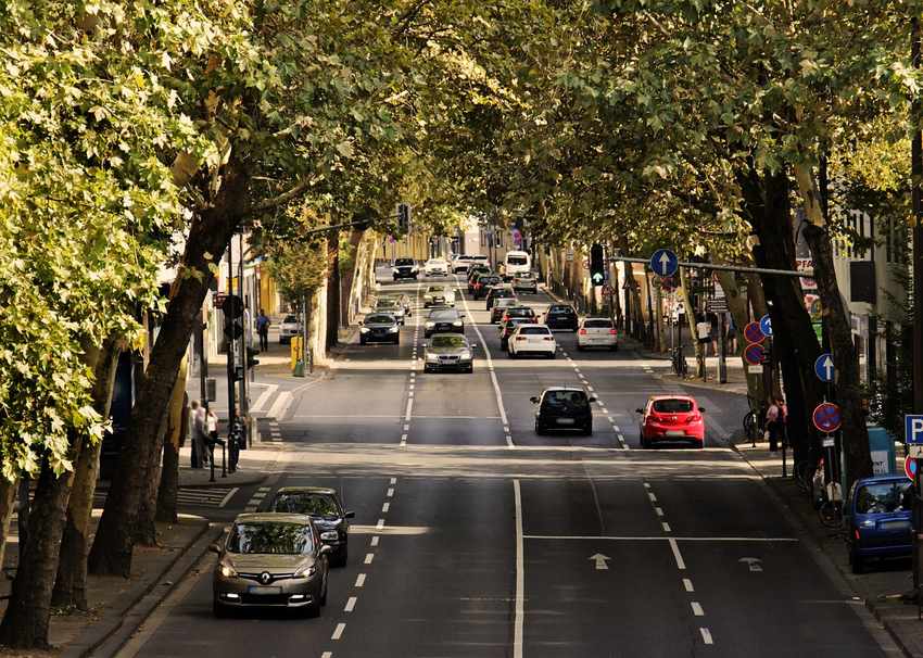 Allée d'arbres, voitures et piétons sur une rue à circulation modérée